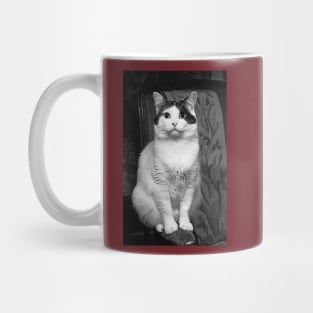 r3102/  New finition 2021 : Les cats par Okaio Pirate's attitudes / expressions "human" 3 Mug